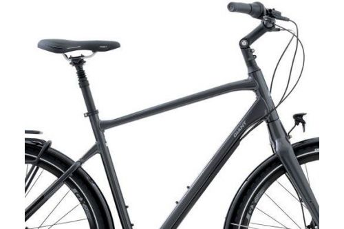 Rower trekkingowy Giant AnyTour CS 2 GB 2020